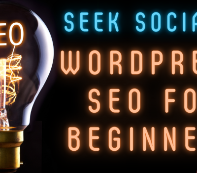 On the left, a light bulb with the illuminated filament reading 'SEO'. To the right Text in neon lighting reading 'Seek Social's WordPress SEO for Beginners - Part 1'