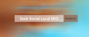 A search engine's search bar, with the term 'Seek Social Local SEO' typed into it.