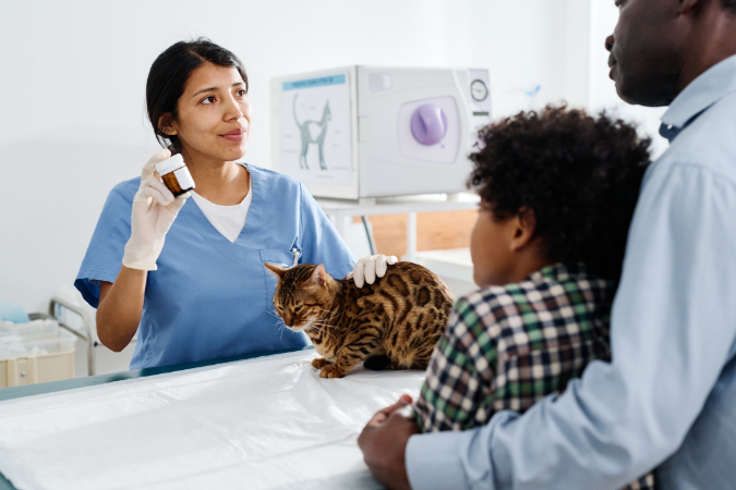 Click to find out more about Seek Social's work with Veterinary Prescriber helping them increase traffic to their website through SEO - check it out!