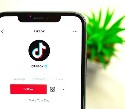 tiktok | Seek Social Ltd