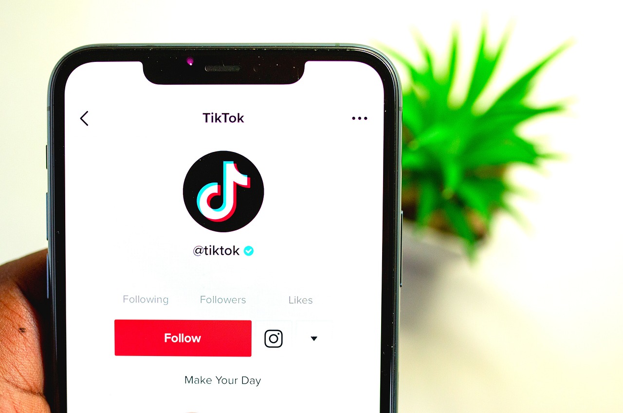 tiktok | Seek Social Ltd